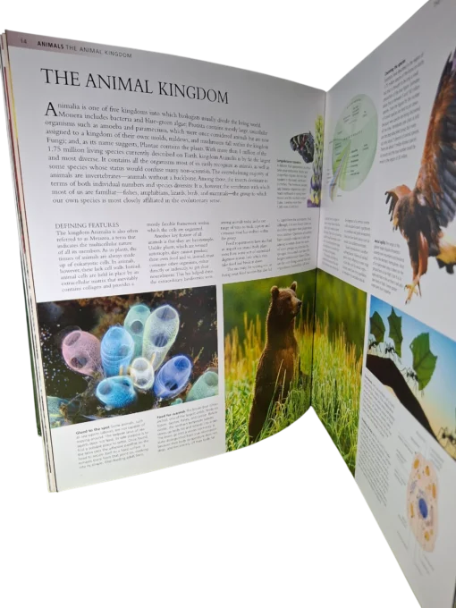 The Encyclopedia Of Animals - Image 4