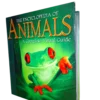 The Encyclopedia Of Animals