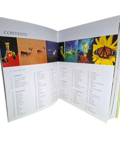 The Encyclopedia Of Animals - Image 3