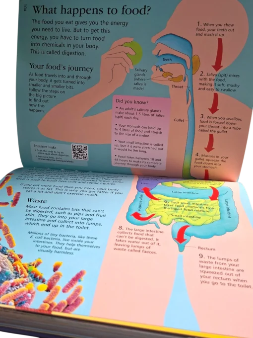 The Usborne Children's Encyclopedia - Image 4