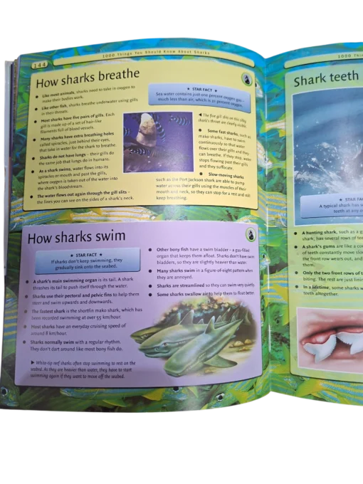 8000 Things You Should Know - Image 4