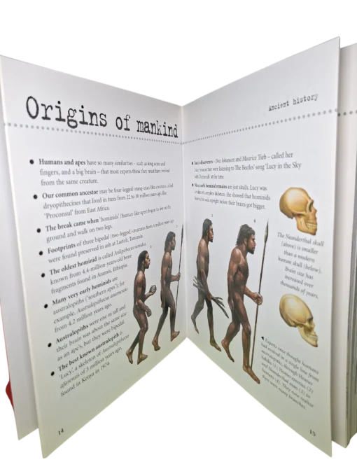 World History - Image 4