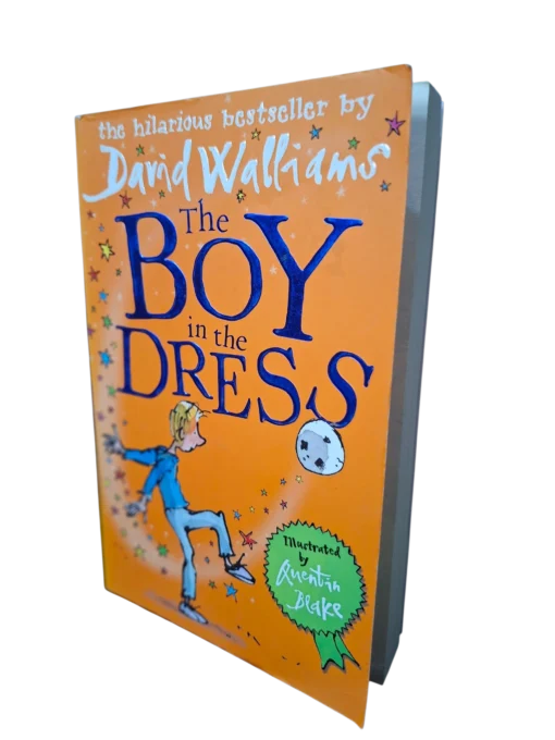 The Boy in the Dress - DAVID WALLIAMS