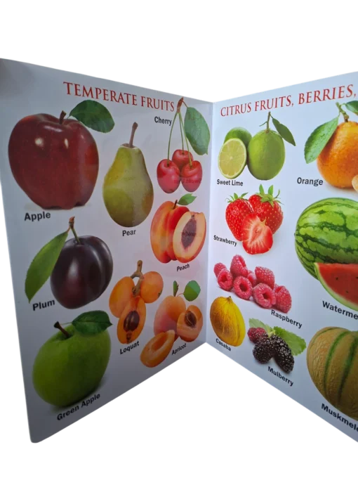 My First Board Book - FRUITS - Image 2