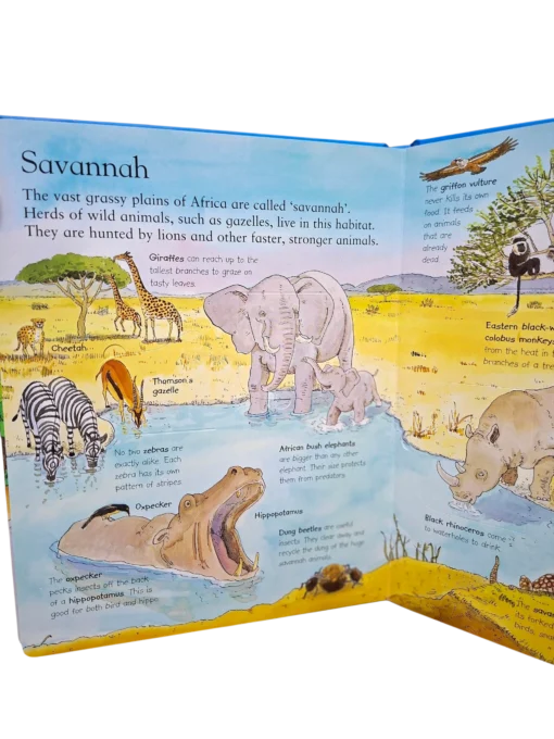 Animals around the World - LIFT THE FLAP BOOK - Image 3