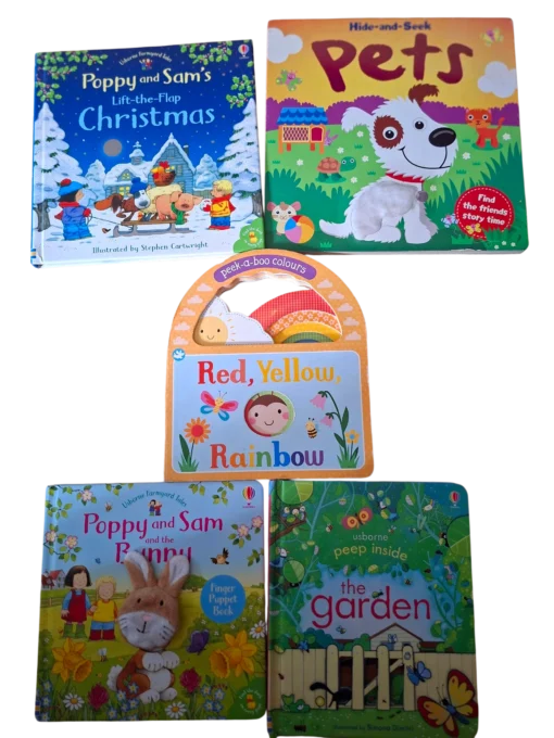 A Set of Five Board Books (Age 0-3)