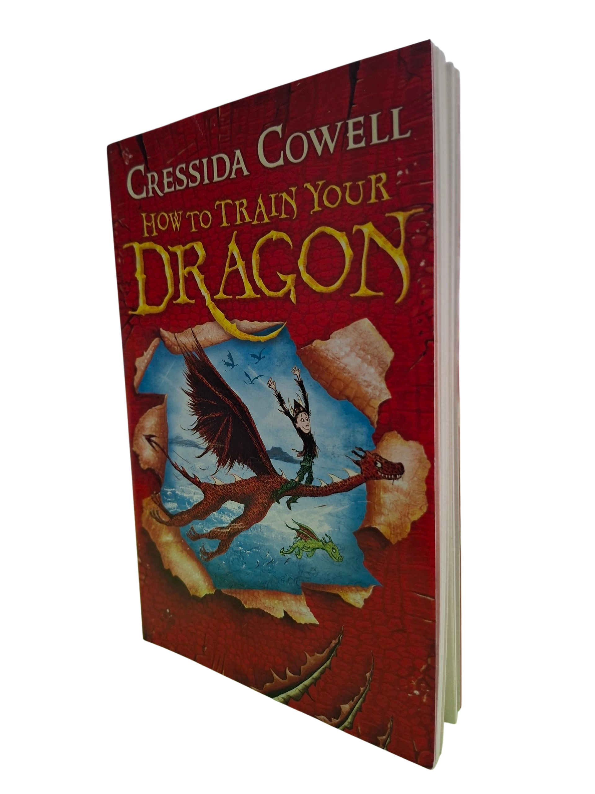 HOW TO TRAIN YOUR DRAGON