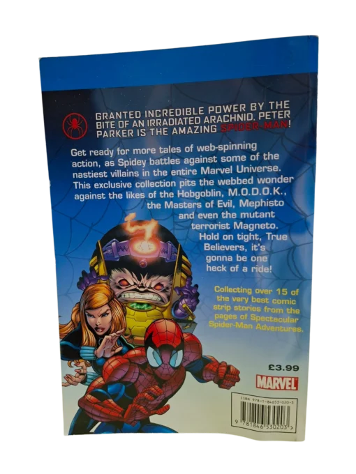 SPIDER-MAN - Image 2