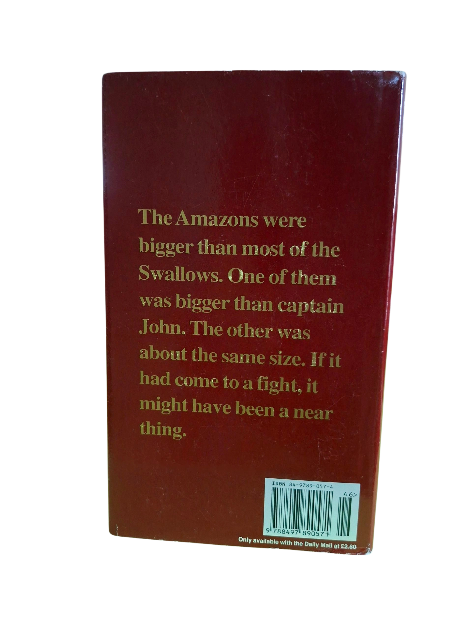 THE CHILDREN'S GOLDEN LIBRARY - SWALLOW AND AMAZONES - Image 2