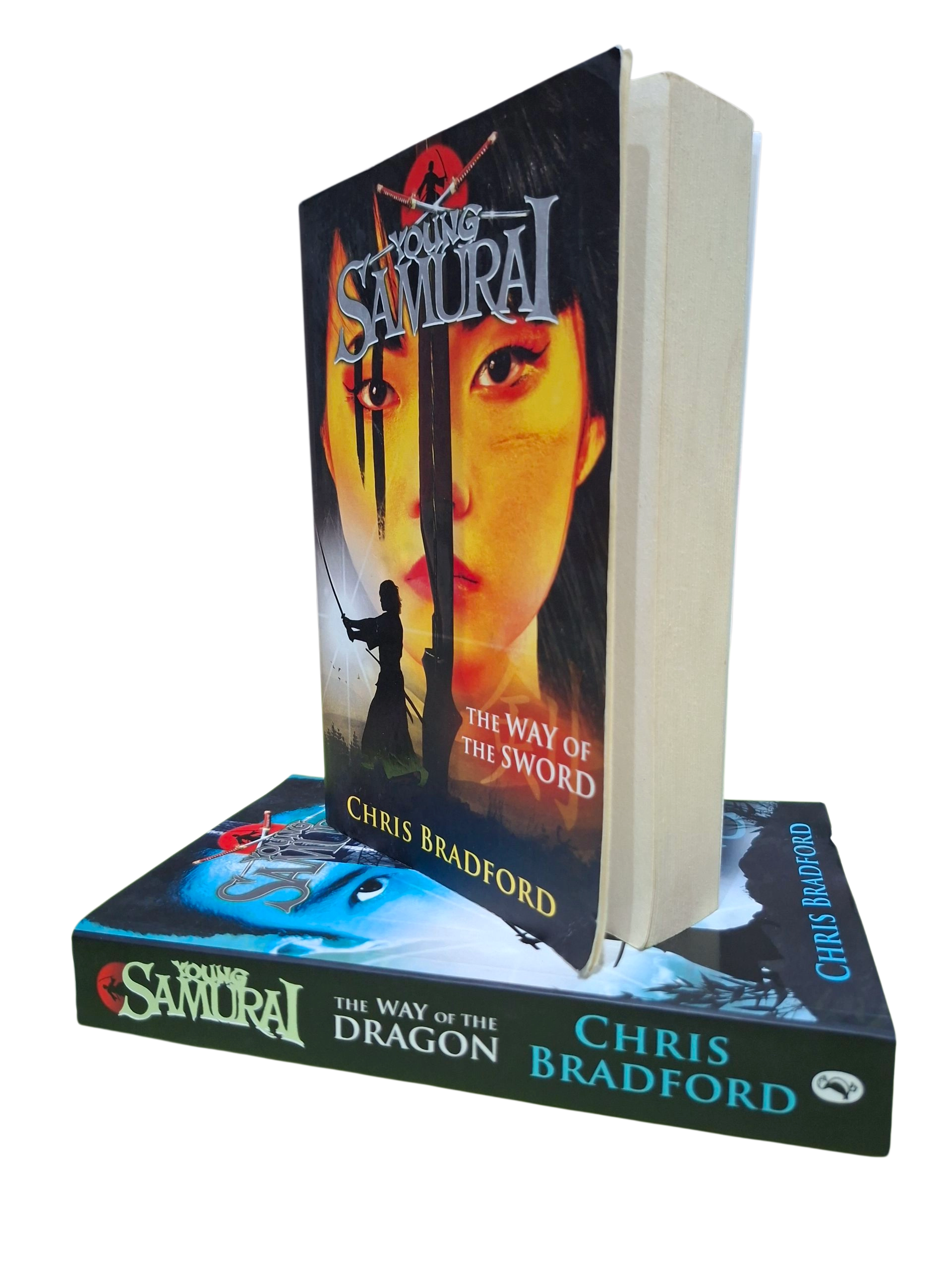 YOUNG SAMURAI SERIES