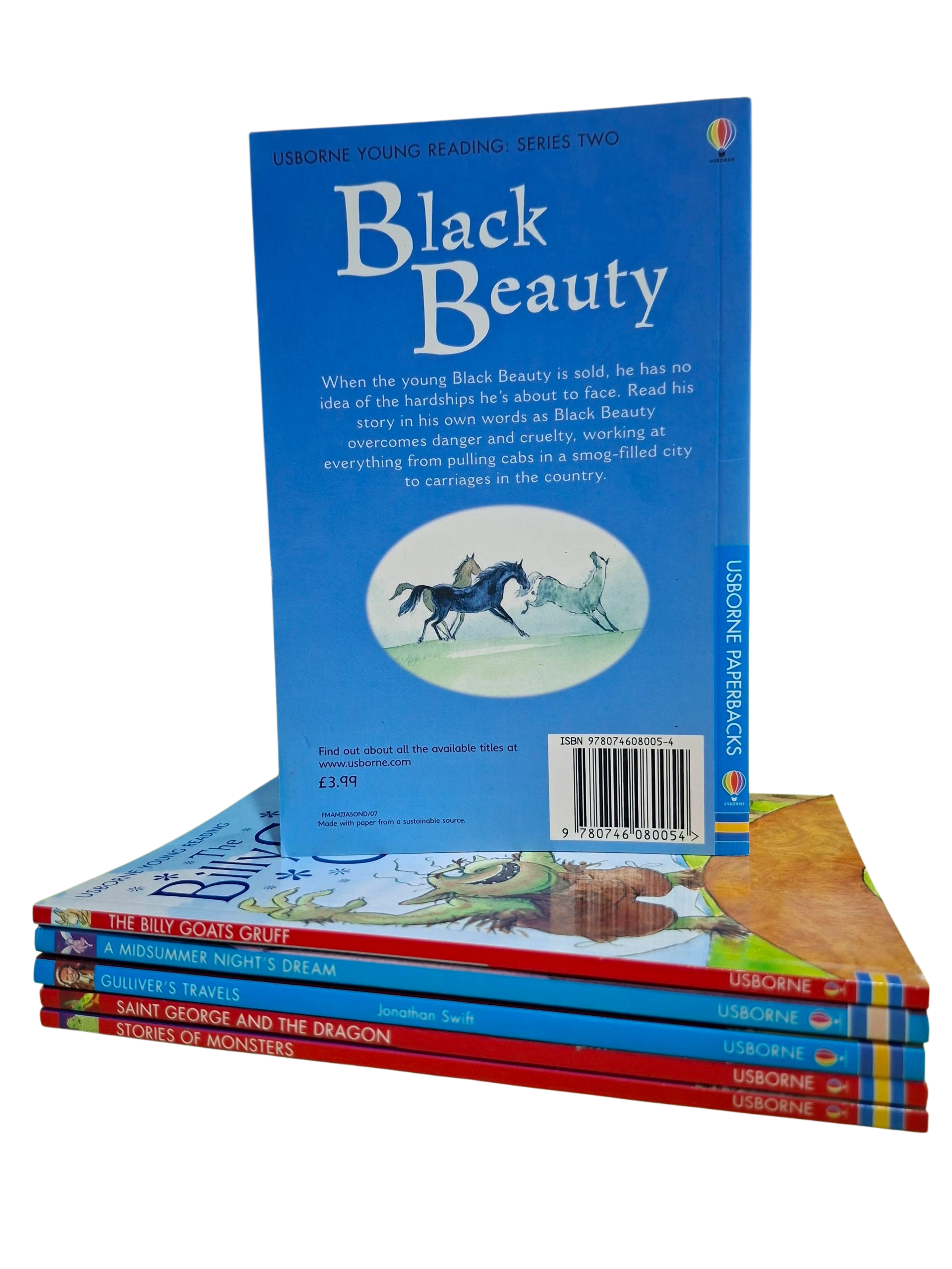 USBORNE YOUNG READING SERIES - Image 2