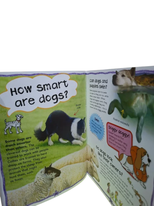 MILES KELLY: My First Fun Animal Questions and Answers (Age 7 & Above ...