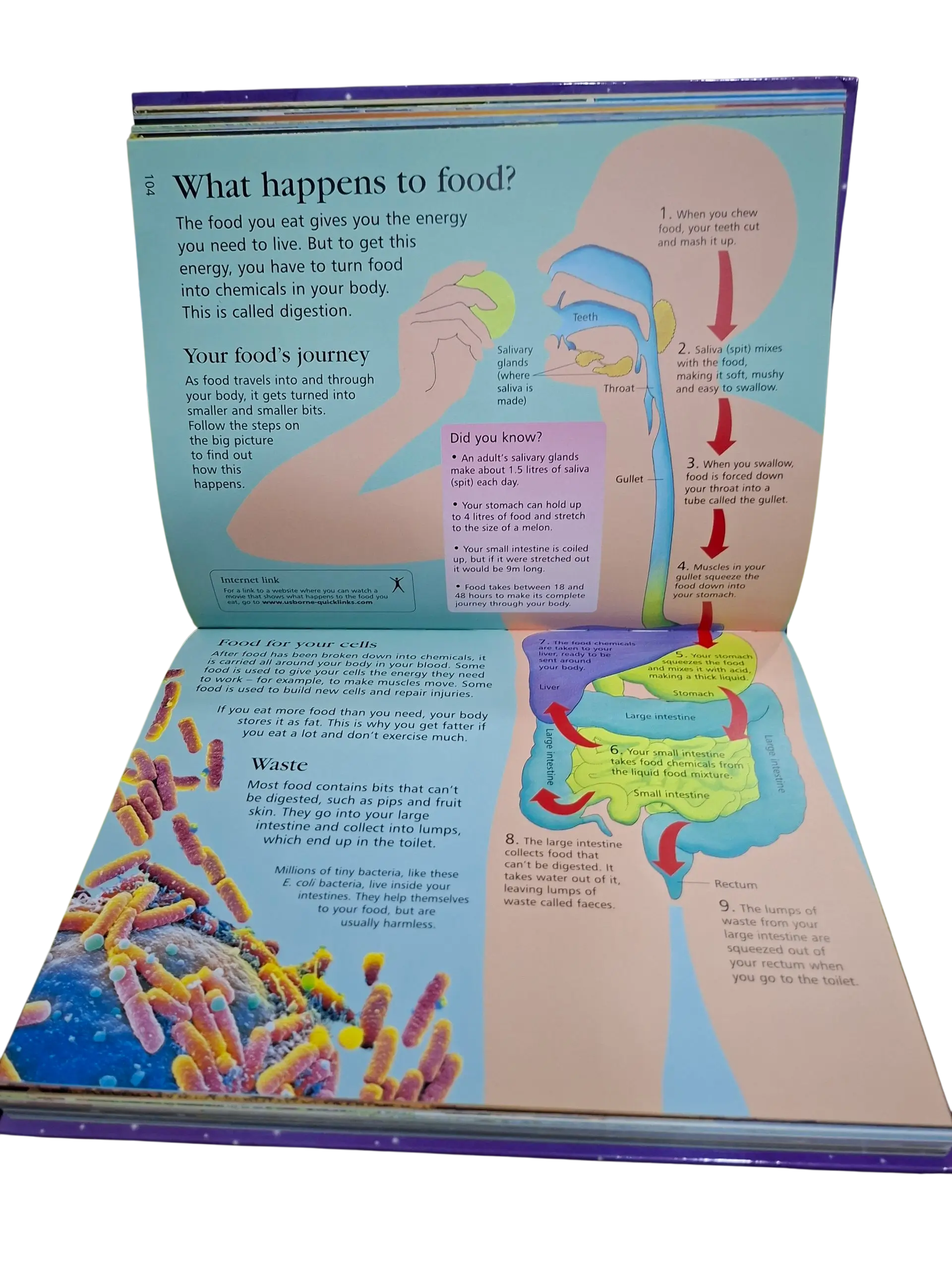 THE USBORNE NTERNET-LINKED CHILDREN'S ENCYCLOPEDIA (Age 7 & Above) - Image 5