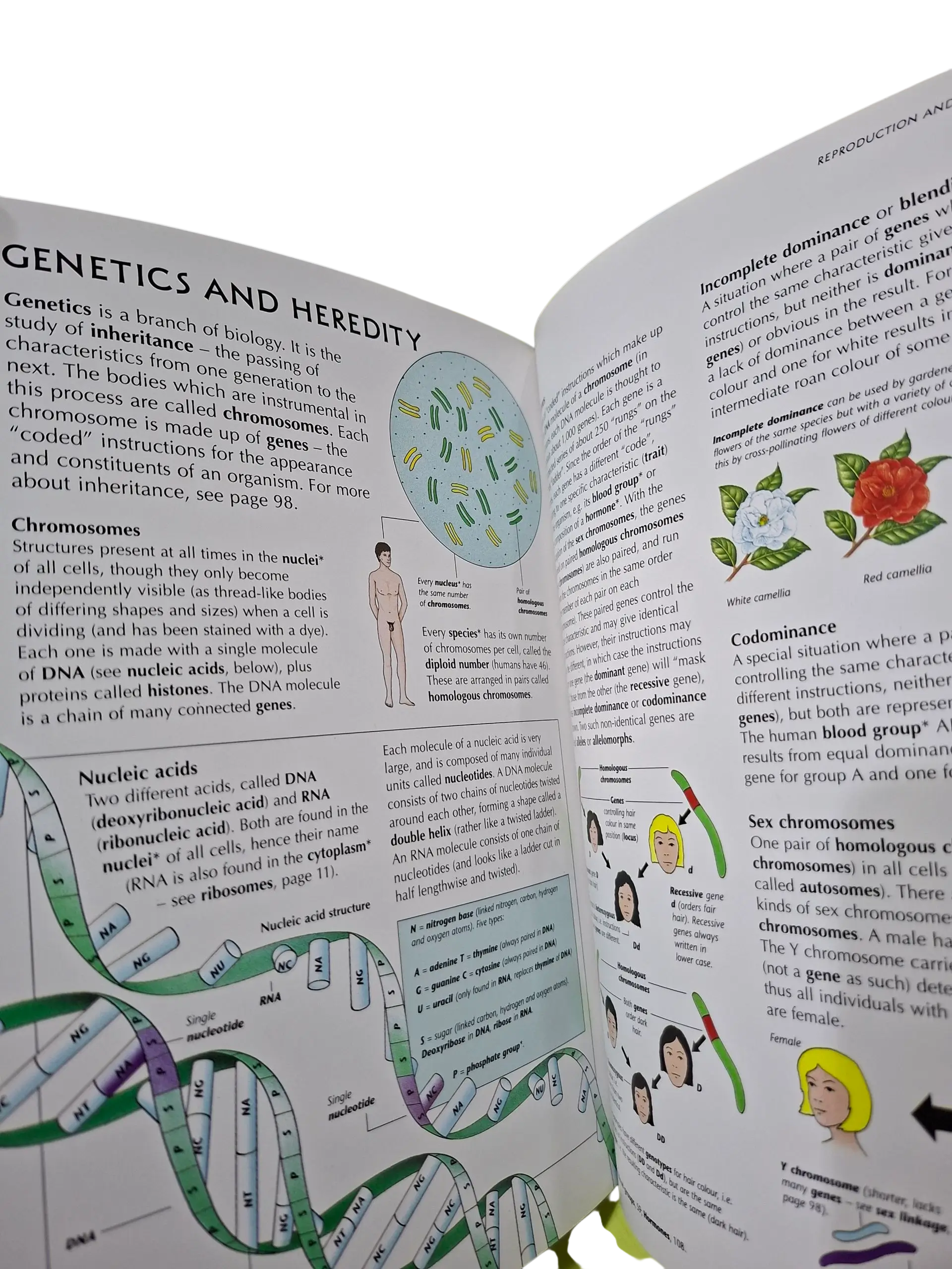 Usborne Illustrated Dictionary of Biology (Age 12 & Above) - Image 4
