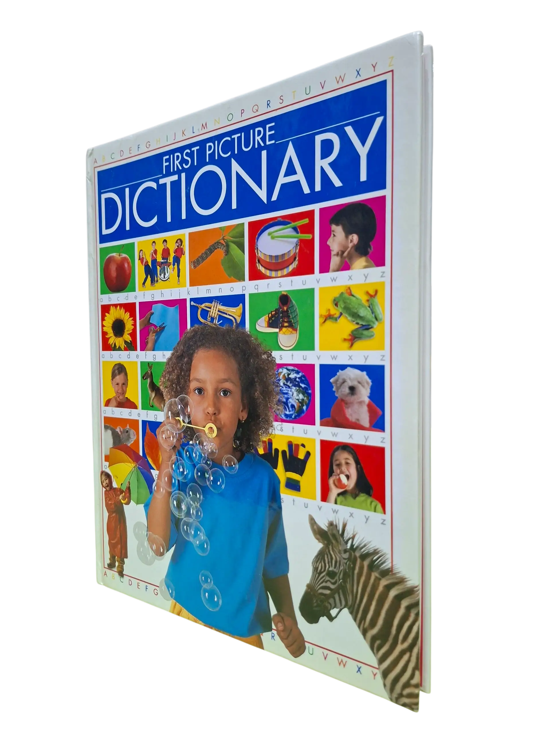 First Picture Dictionary (Age 6 & Above)