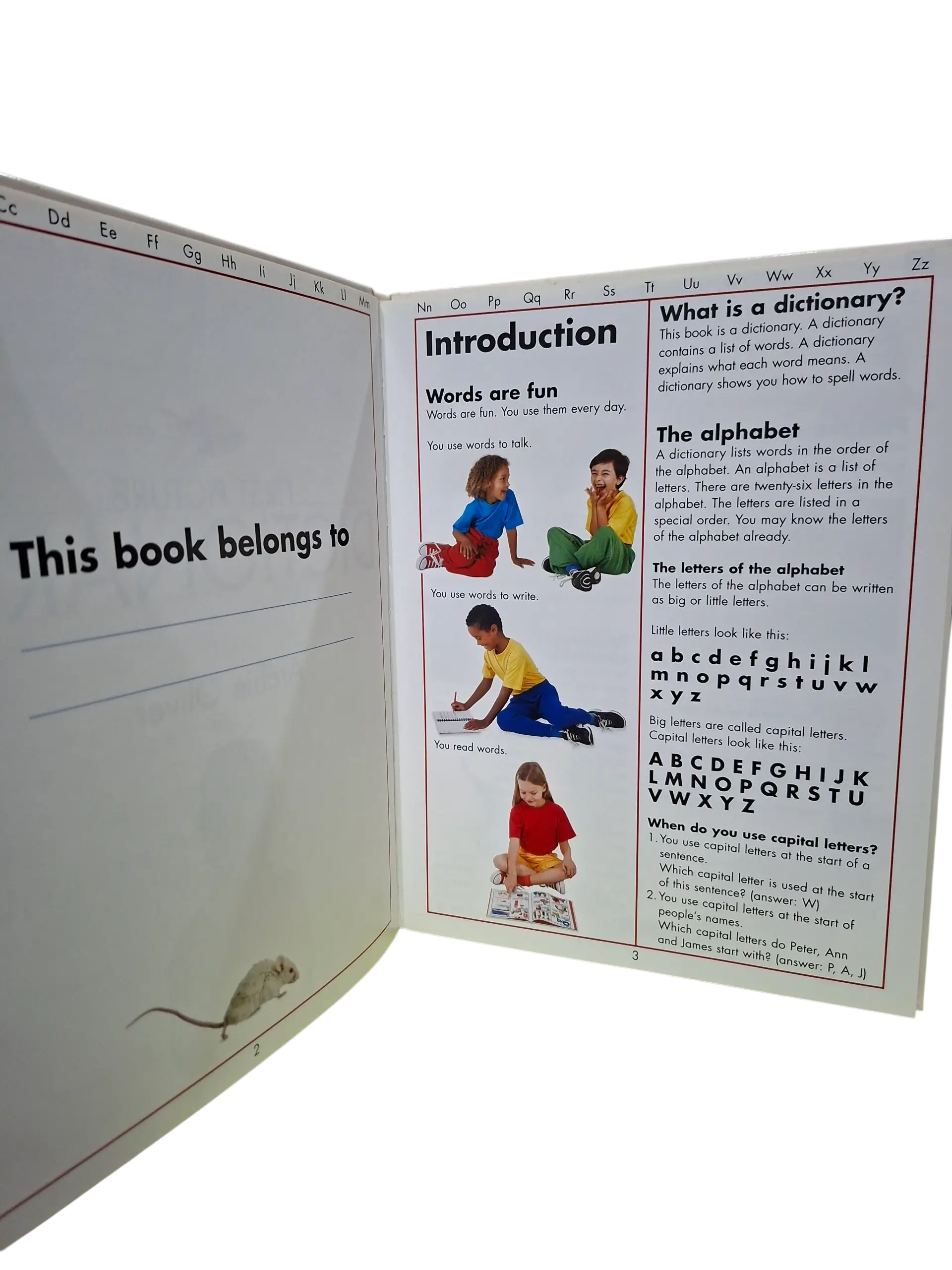 First Picture Dictionary (Age 6 & Above) - Image 3