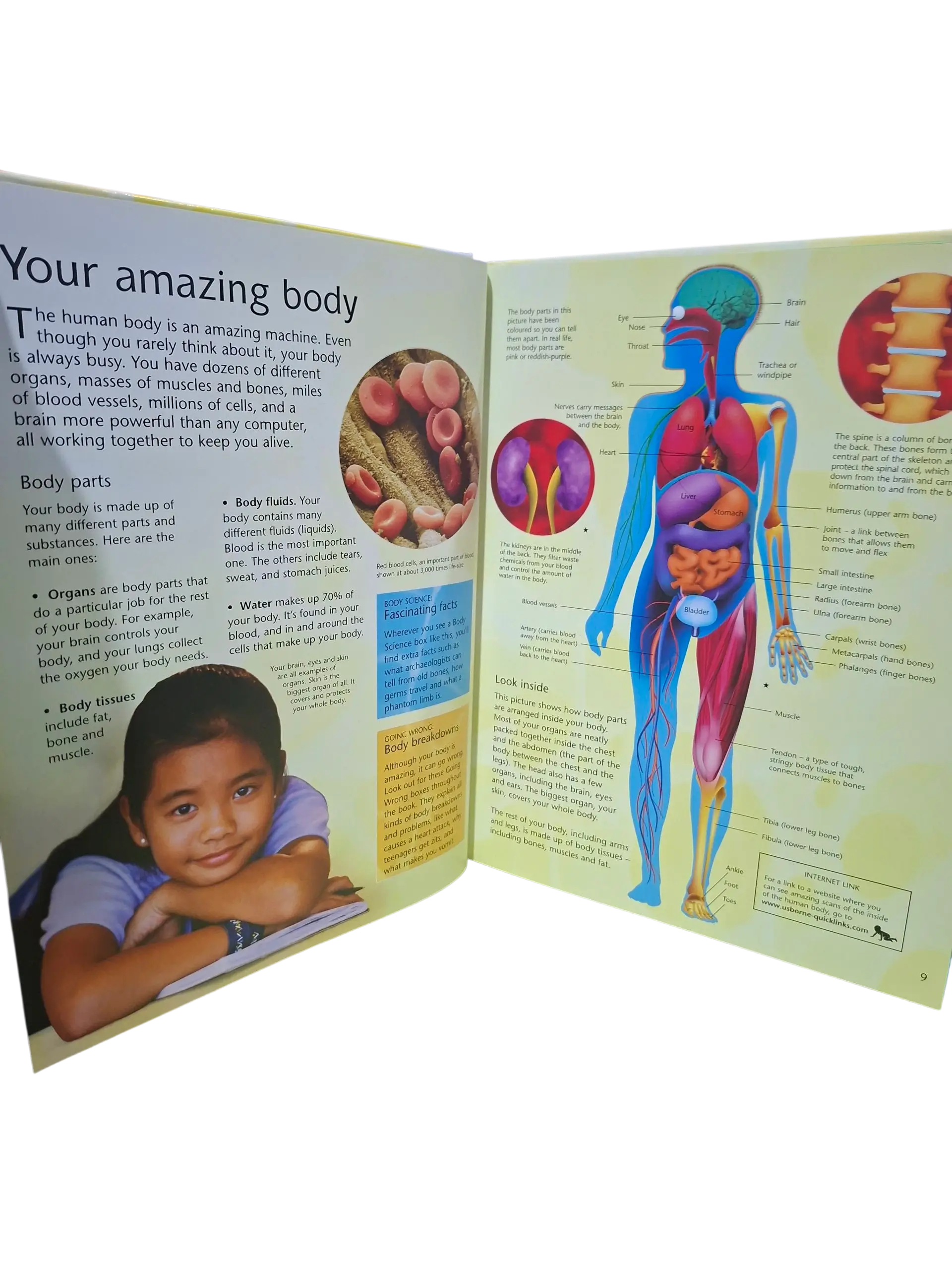 USBORNE: COMPLETE BOOK OF HUMAN BODY (Age 8 & Above) - Image 5