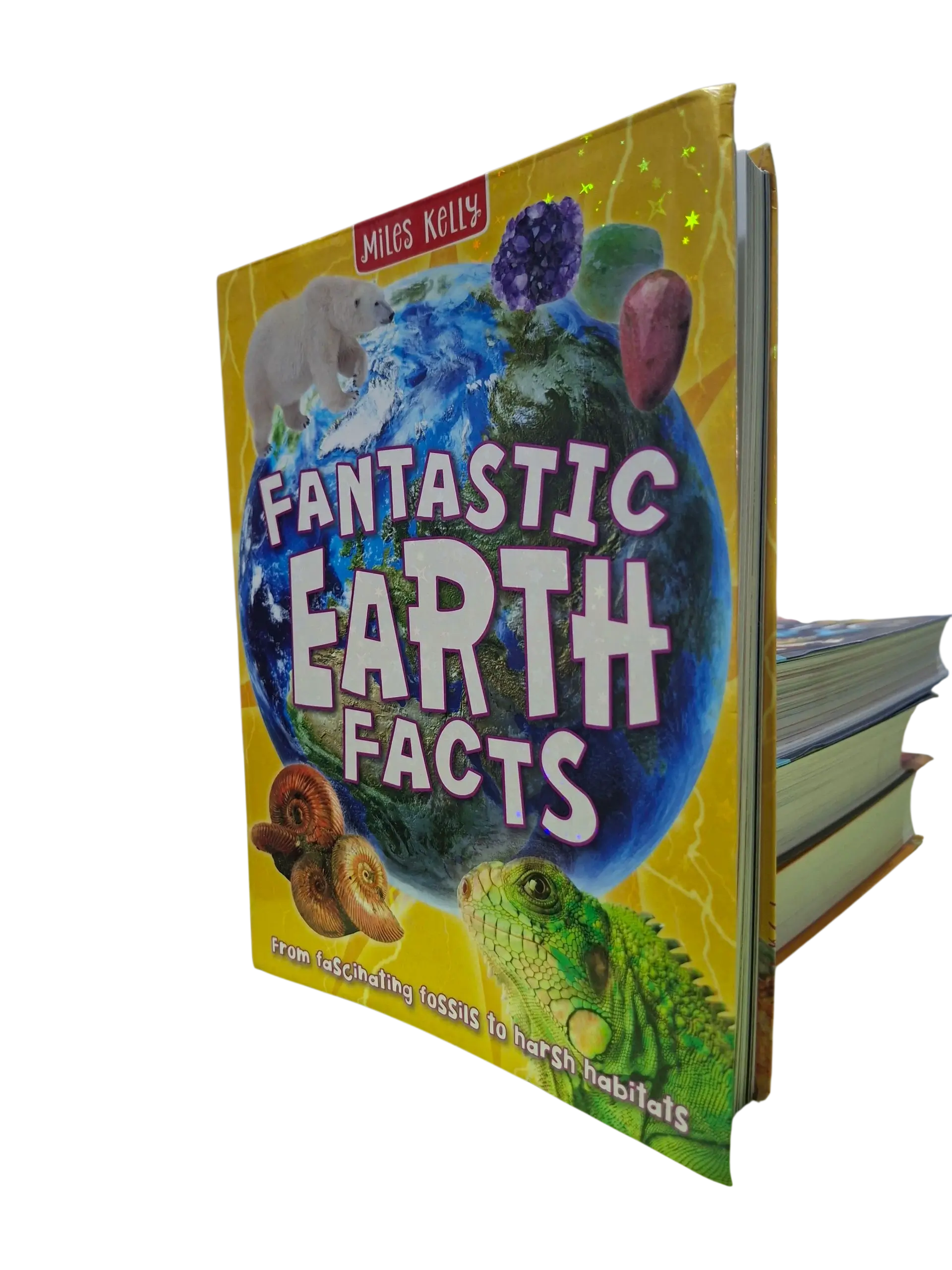 Miles Kelly: Fantastic Earth Facts(Age 8 -14)