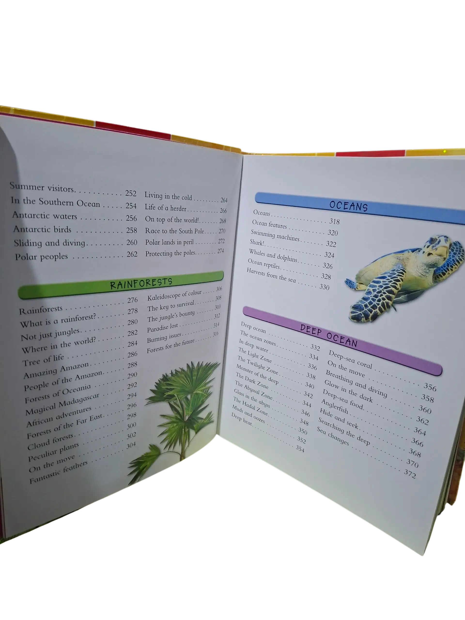 Miles Kelly: Fantastic Earth Facts(Age 8 -14) - Image 4