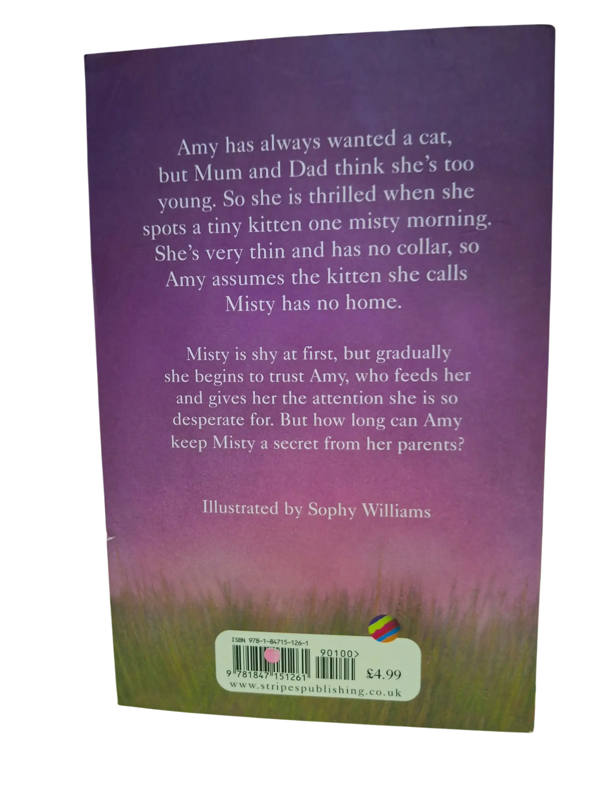 Holly Webb: Misty The Abandoned Kitten - Image 2