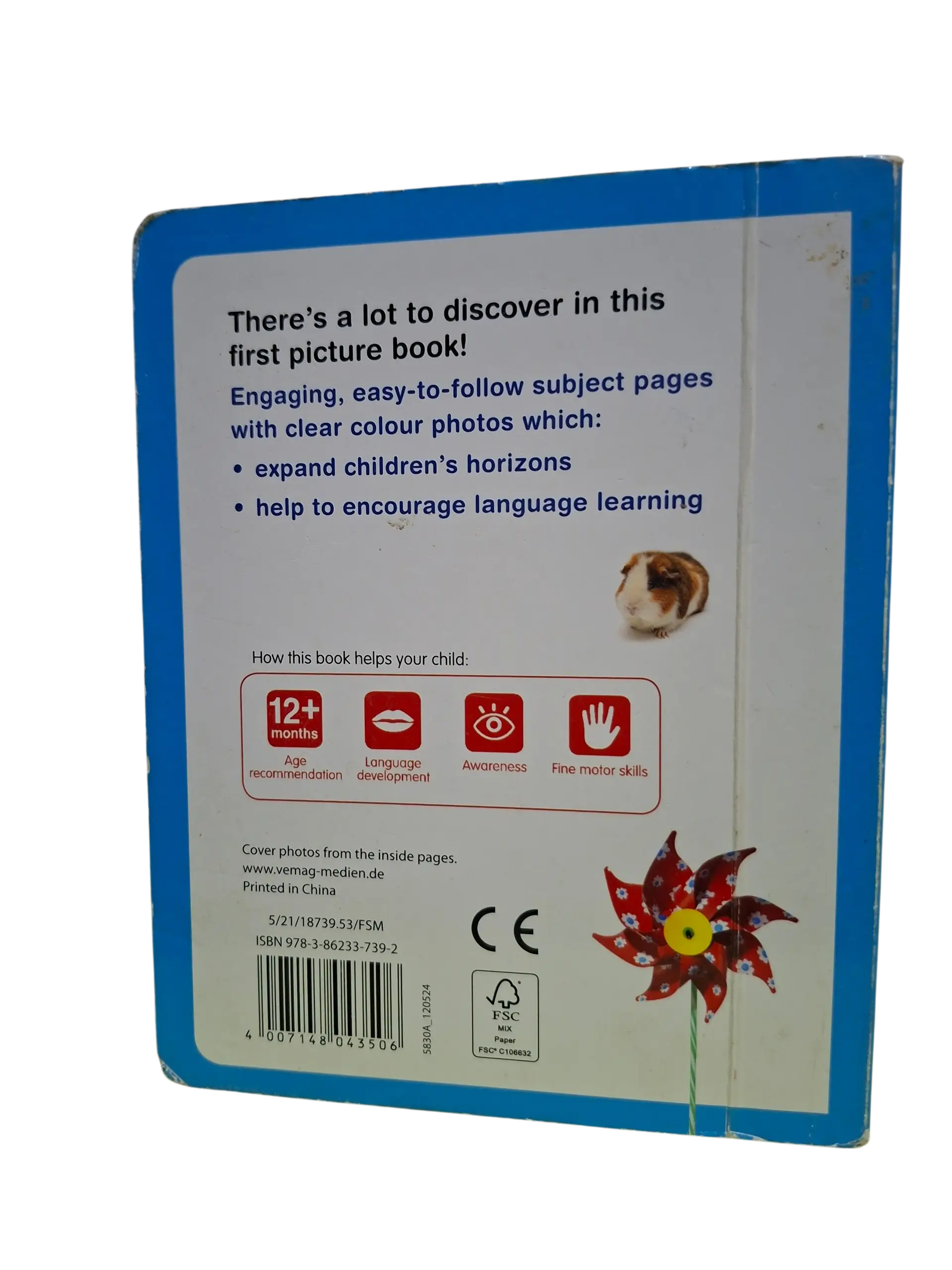 First Words: What’s That? (12 months and Above) - Image 2