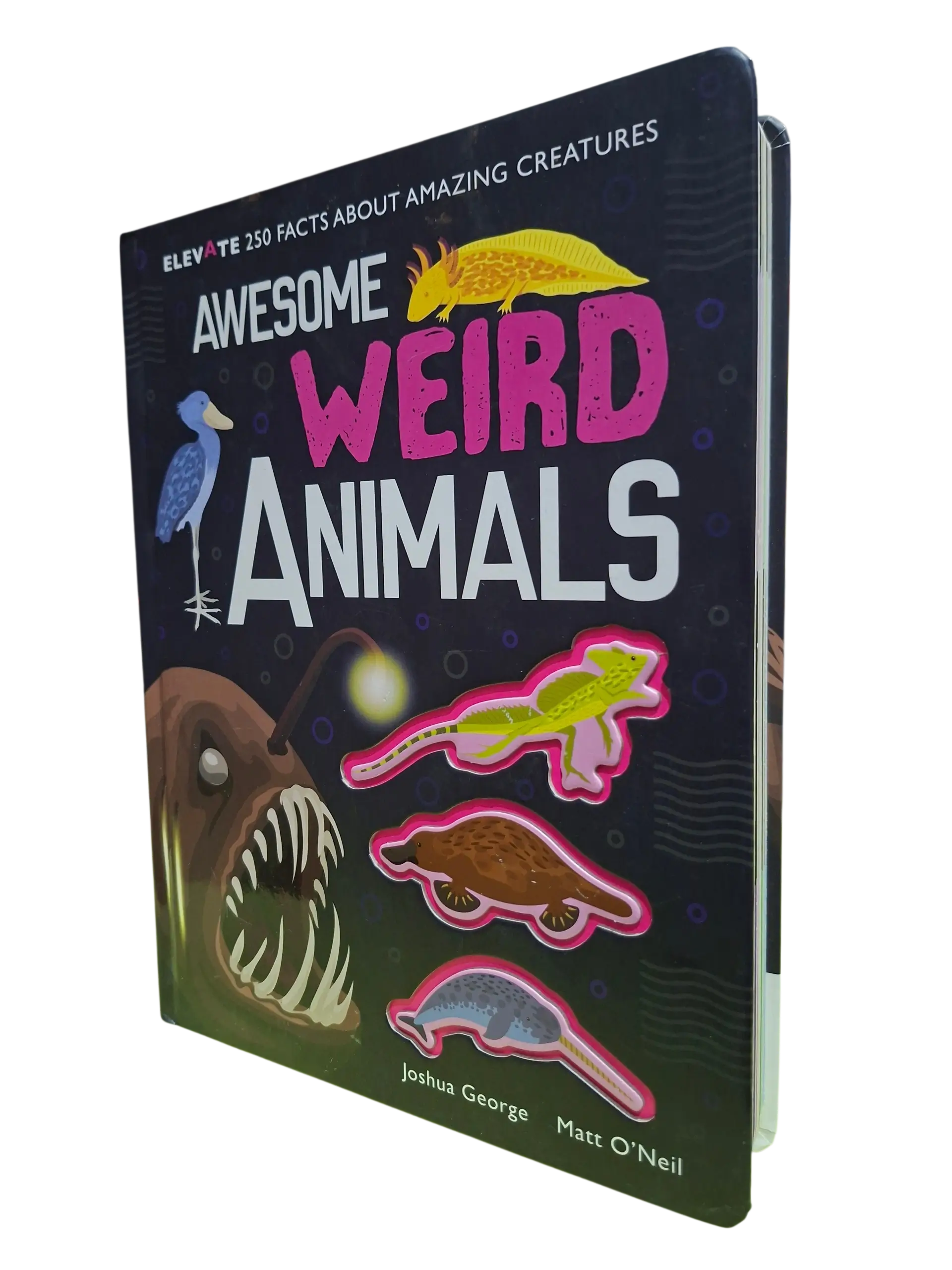 Awesome Weird Animals (3 Years and Above)