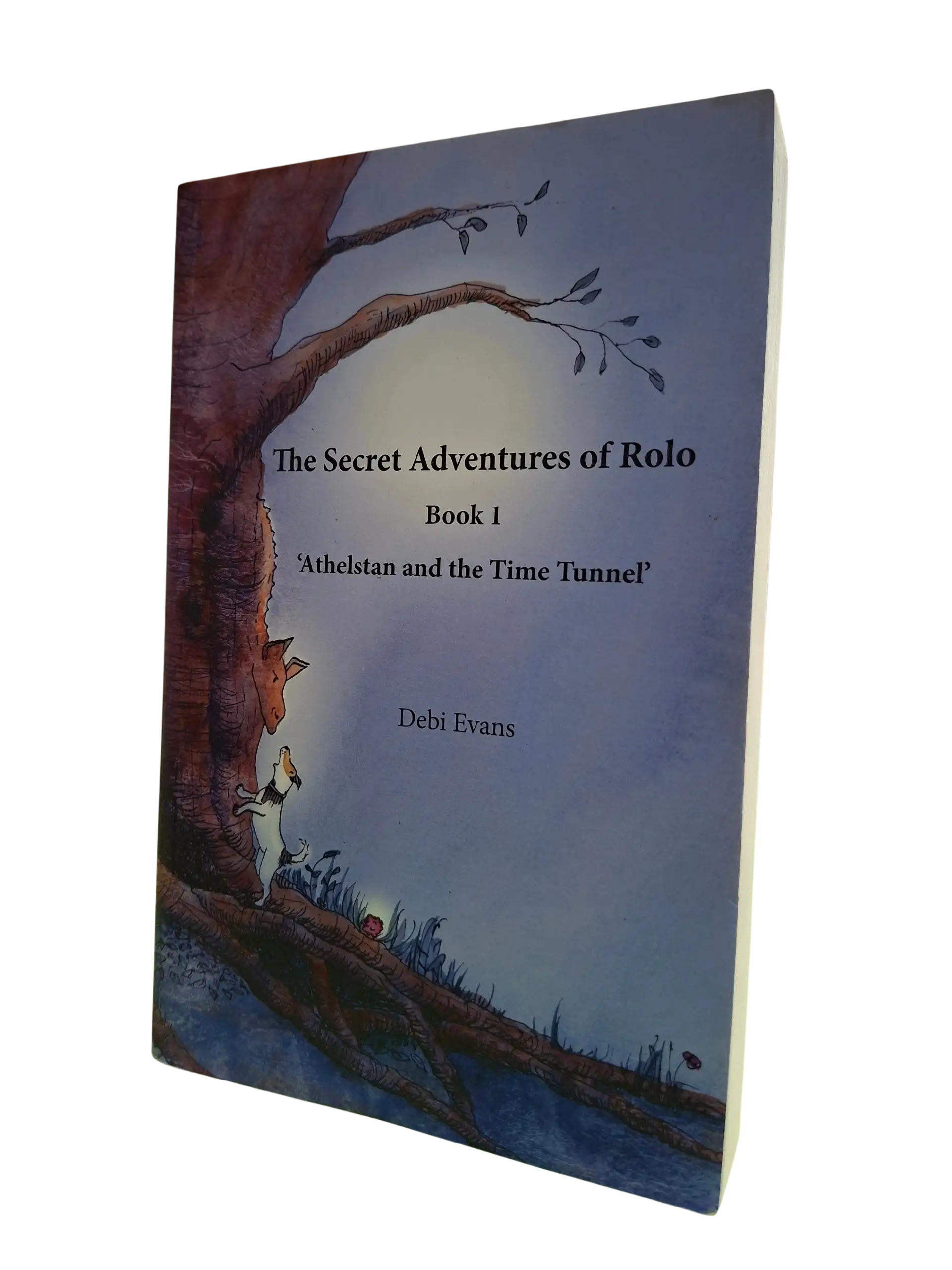 A Secret Adventures of Rolo (Book 1)